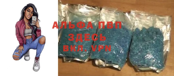a pvp Аркадак