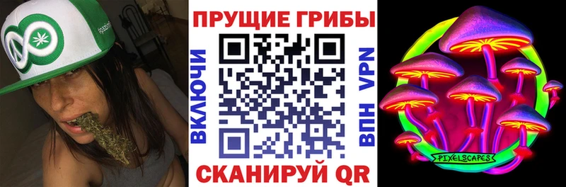 Псилоцибиновые грибы Cubensis  Давлеканово 
