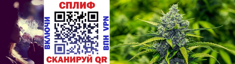 где можно купить наркотик mega ссылки Бошки марихуана THC 21% Давлеканово